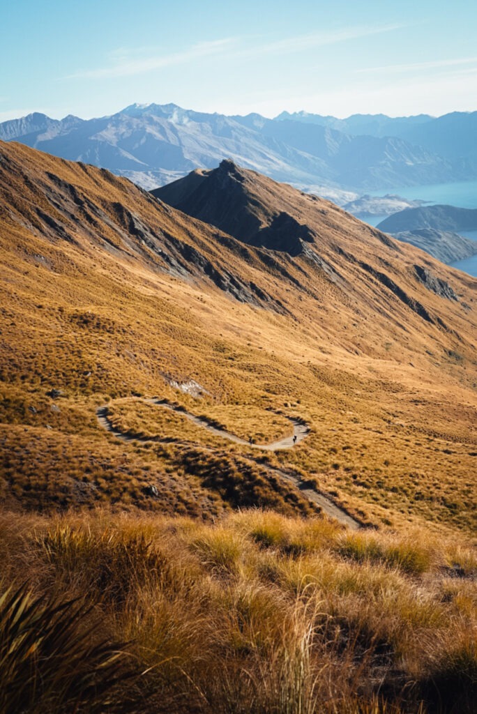 sich windender Weg zum Roys Peak- Top Fotospot in Neuseeland _ Reisefotografie-76