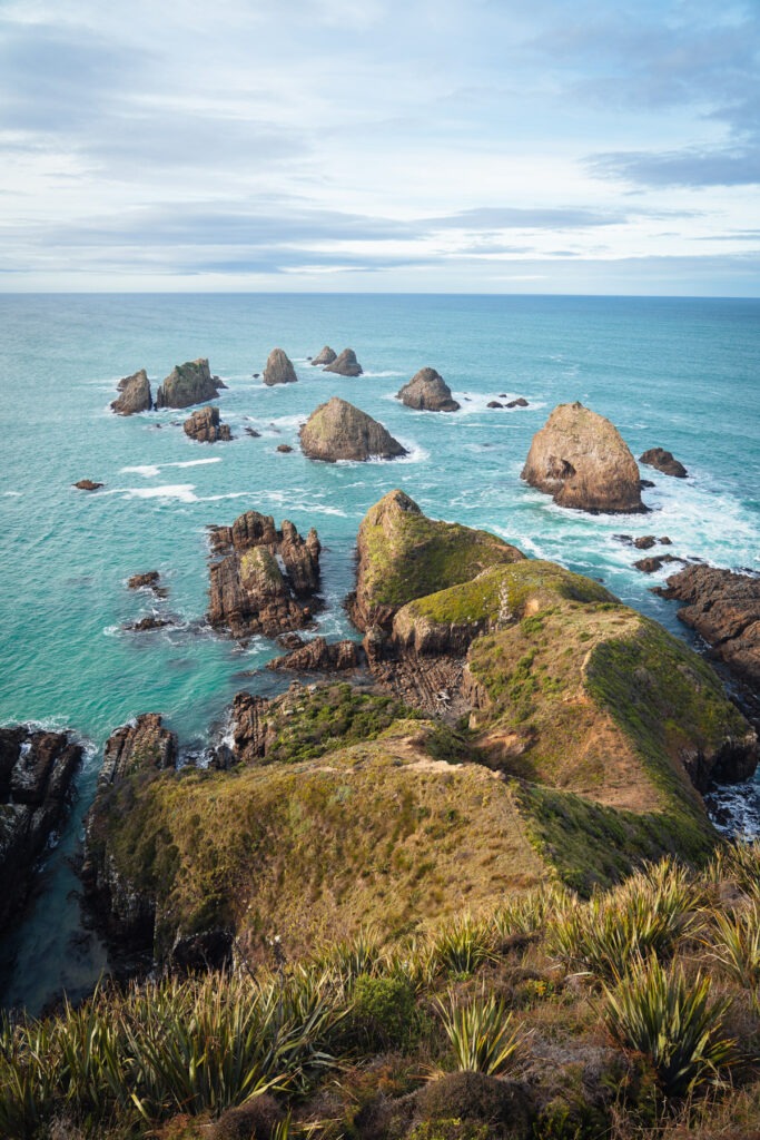 Fotospot Nugget Point im Herbst in Neuseeland